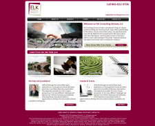 ELK Consulting Services